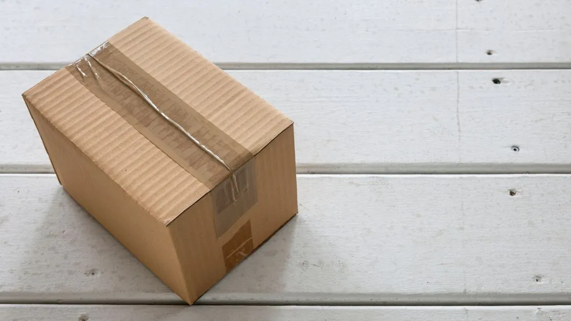 日本からアメリカに荷物を送る方法は?料金・日数・送れないものを解説